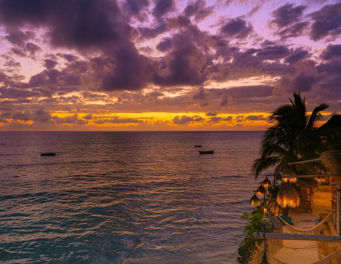 Coral Rocks Hotel & Restaurant Jambiani  Exterior photo